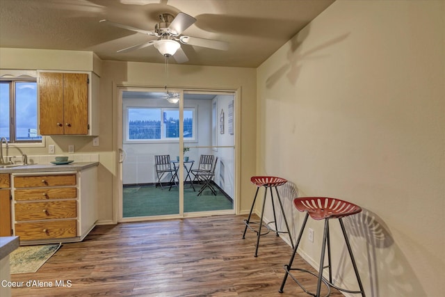 kitchen with ceiling fan, sink, and hardwood / wood-style floors