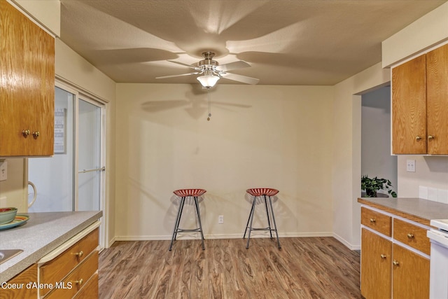 kitchen featuring ceiling fan and light hardwood / wood-style floors