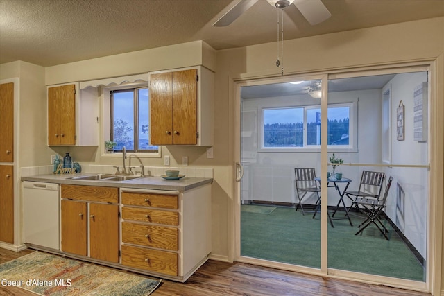 kitchen featuring sink, a textured ceiling, dishwasher, ceiling fan, and light hardwood / wood-style floors