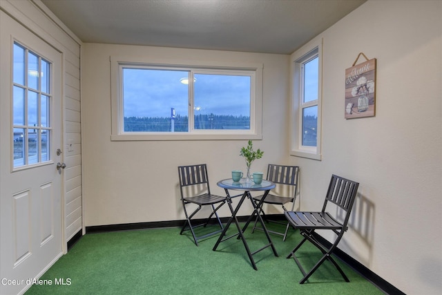 living area featuring carpet flooring