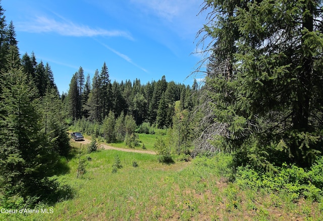 Listing photo 2 for NNA2LOTS Ryan Loop, Saint Maries ID 83861