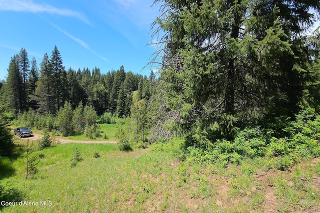 Listing photo 3 for NNA2LOTS Ryan Loop, Saint Maries ID 83861