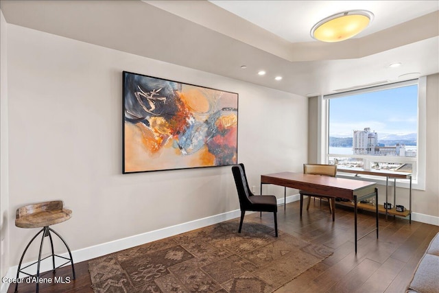 office featuring dark hardwood / wood-style flooring