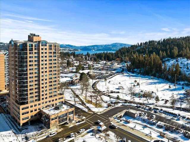 snowy aerial view with a mountain view