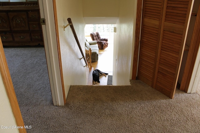 hallway featuring carpet