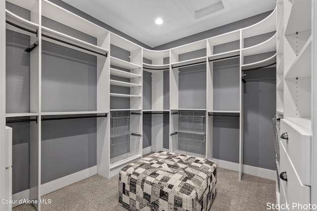 walk in closet featuring carpet