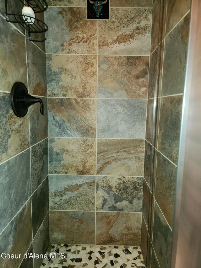 room details with tiled shower