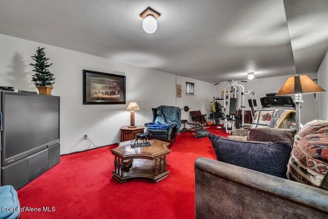 living room with carpet floors