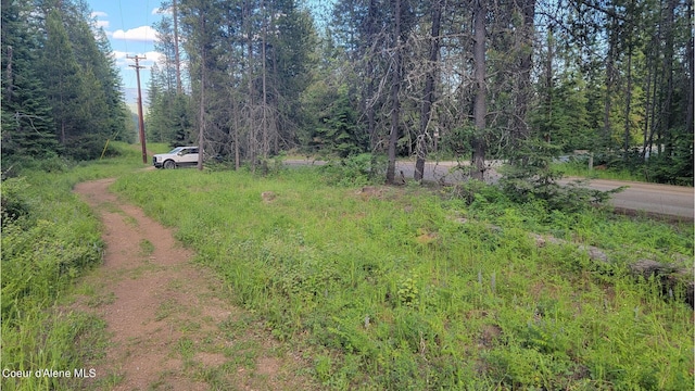 Listing photo 3 for NNA Gleason Mcabee Falls Rd, Priest River ID 83856