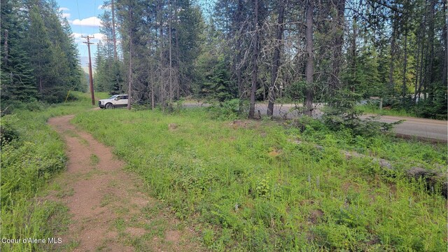 NNA Gleason Mcabee Falls Rd, Priest River, ID 83856 - photo 3