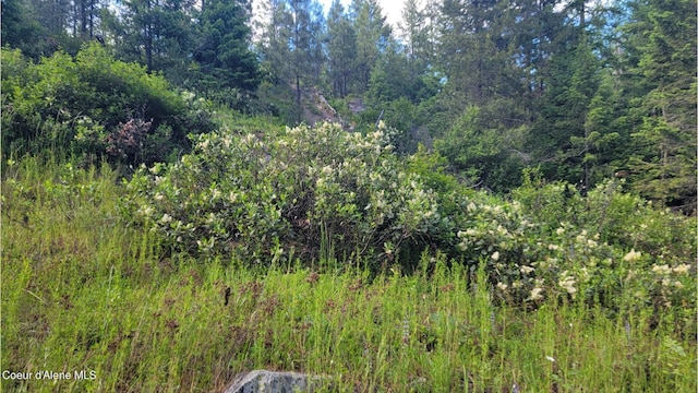 NNA Gleason Mcabee Falls Rd, Priest River, ID 83856 - photo 5