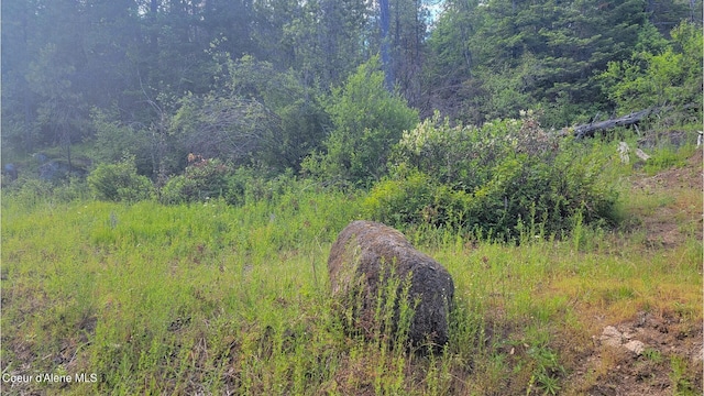 NNA Gleason Mcabee Falls Rd, Priest River, ID 83856 - photo 6