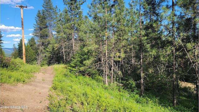 NNA Gleason Mcabee Falls Rd, Priest River, ID 83856 - photo 12