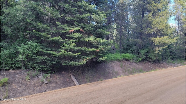 NNA Gleason Mcabee Falls Rd, Priest River, ID 83856 - photo 15