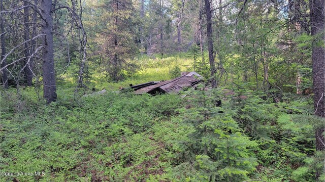 NNA Gleason Mcabee Falls Rd, Priest River, ID 83856 - photo 16