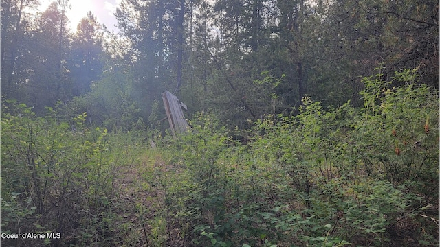 NNA Gleason Mcabee Falls Rd, Priest River, ID 83856 - photo 20