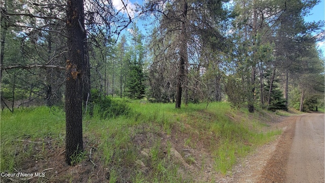 NNA Gleason Mcabee Falls Rd, Priest River, ID 83856 - photo 23