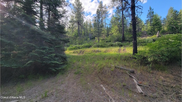 NNA Gleason Mcabee Falls Rd, Priest River, ID 83856 - photo 24