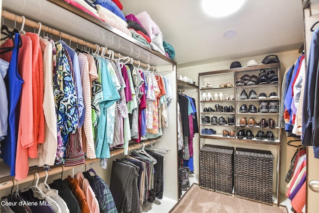 walk in closet featuring carpet floors