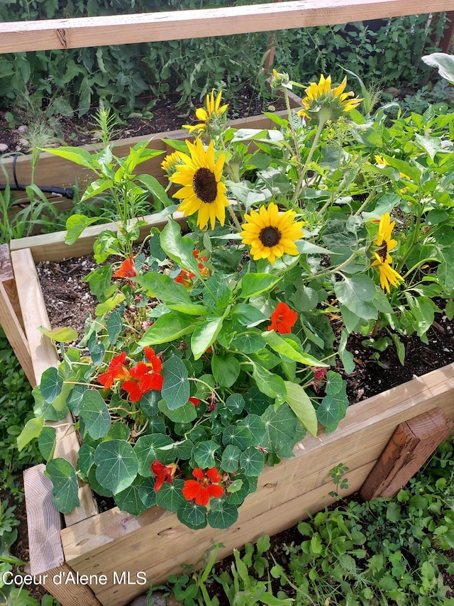 details with a vegetable garden