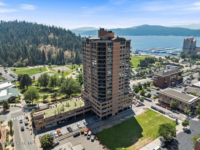 drone / aerial view with a water and mountain view