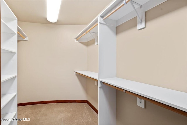 spacious closet featuring light colored carpet