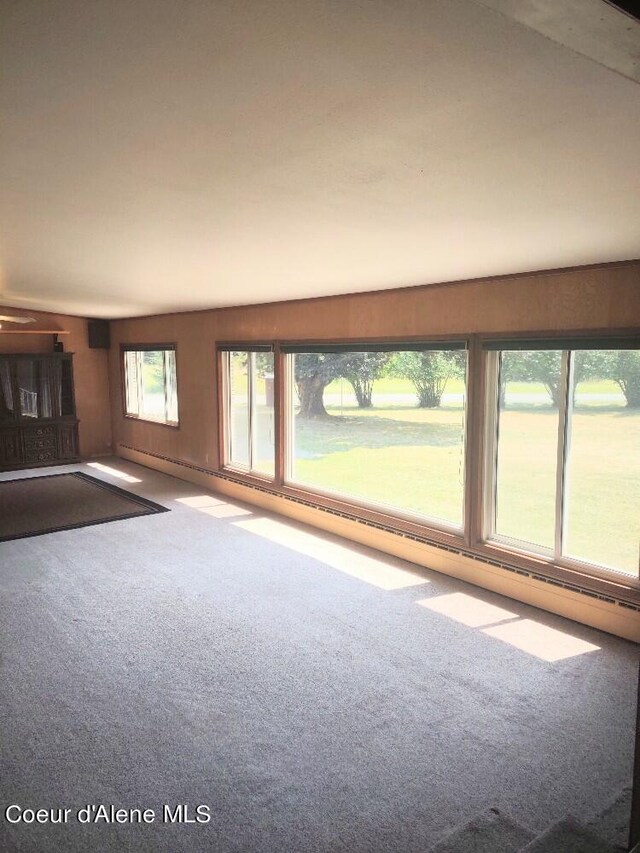 unfurnished living room with carpet