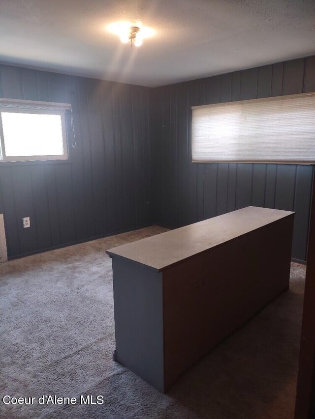 unfurnished office featuring carpet and wood walls