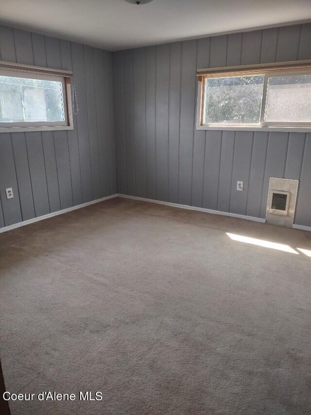 empty room featuring a wealth of natural light and carpet flooring