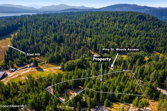 LOT2 W Pine St, Sandpoint ID, 83864 land for sale