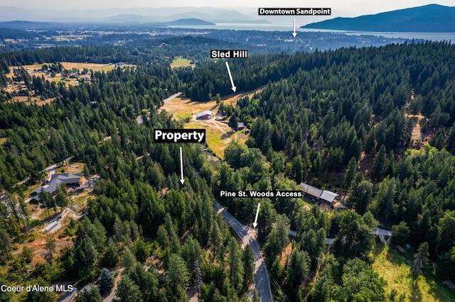 Listing photo 2 for LOT2 W Pine St, Sandpoint ID 83864