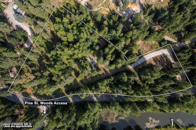 LOT2 W Pine St, Sandpoint, ID 83864 - photo 3