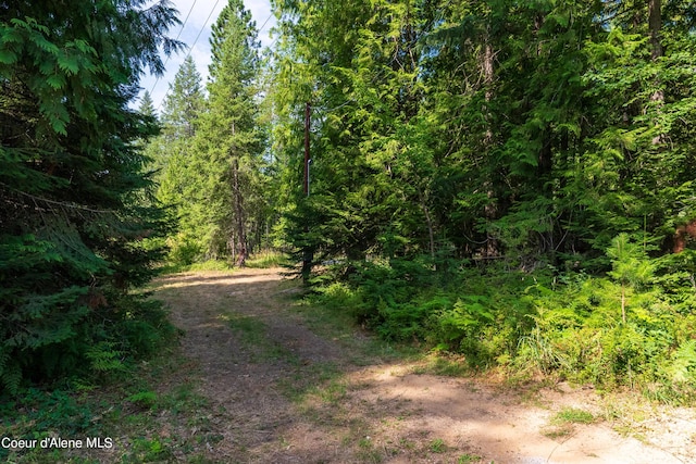 LOT2 W Pine St, Sandpoint, ID 83864 - photo 11