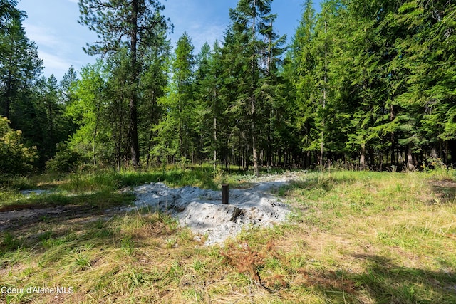 LOT2 W Pine St, Sandpoint, ID 83864 - photo 13