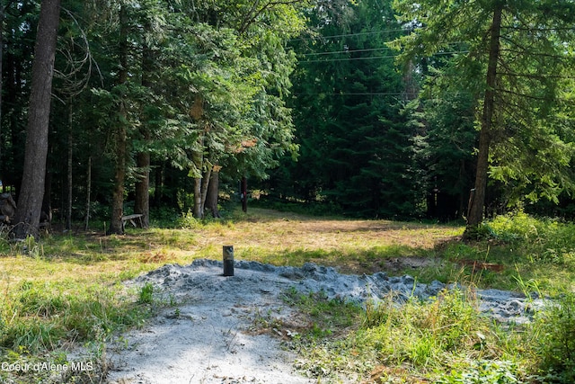 LOT2 W Pine St, Sandpoint, ID 83864 - photo 14