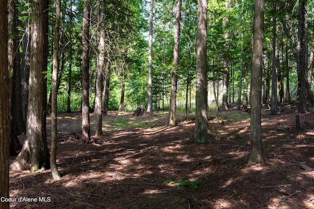 LOT2 W Pine St, Sandpoint, ID 83864 - photo 15