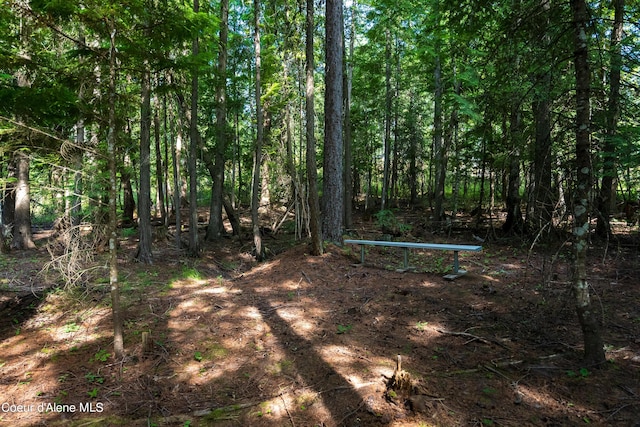 LOT2 W Pine St, Sandpoint, ID 83864 - photo 16