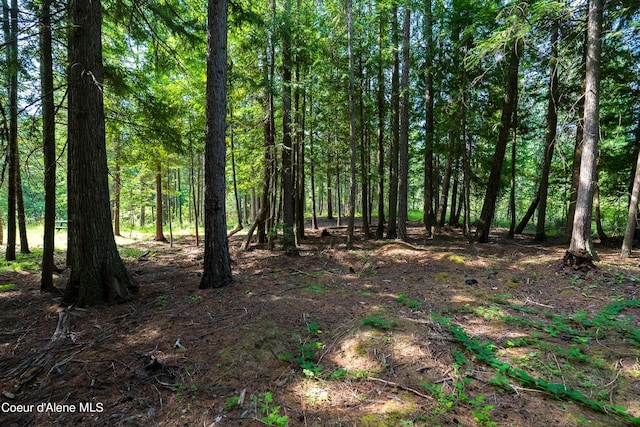 LOT2 W Pine St, Sandpoint, ID 83864 - photo 17