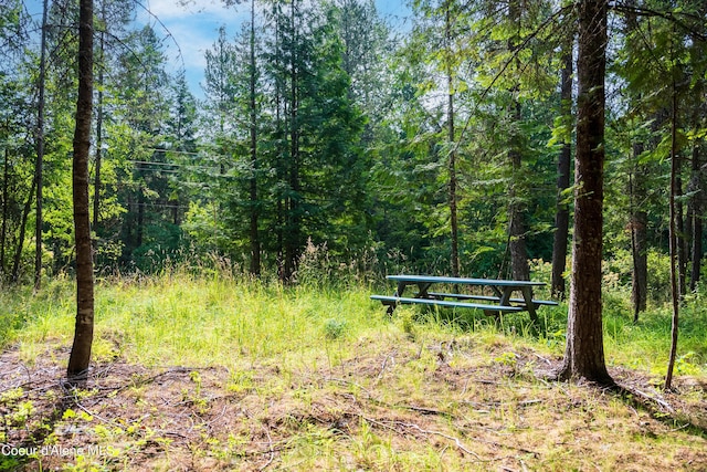 LOT2 W Pine St, Sandpoint, ID 83864 - photo 18