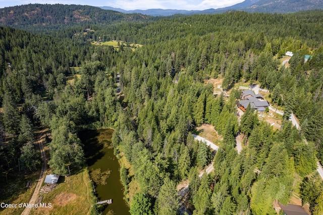 LOT2 W Pine St, Sandpoint, ID 83864 - photo 19