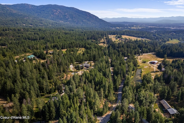 LOT2 W Pine St, Sandpoint, ID 83864 - photo 21