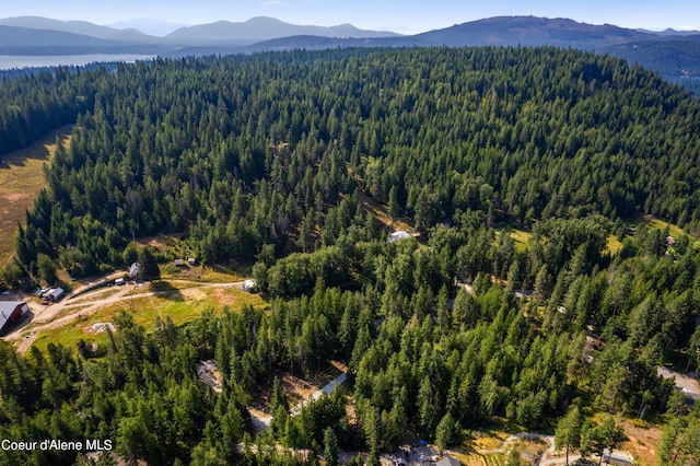 LOT2 W Pine St, Sandpoint, ID 83864 - photo 22