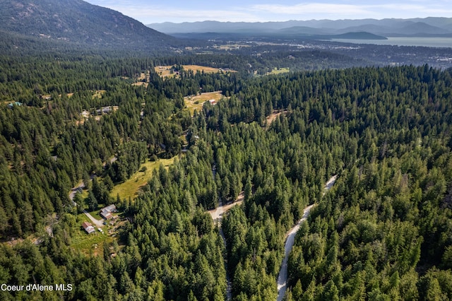 LOT2 W Pine St, Sandpoint, ID 83864 - photo 24
