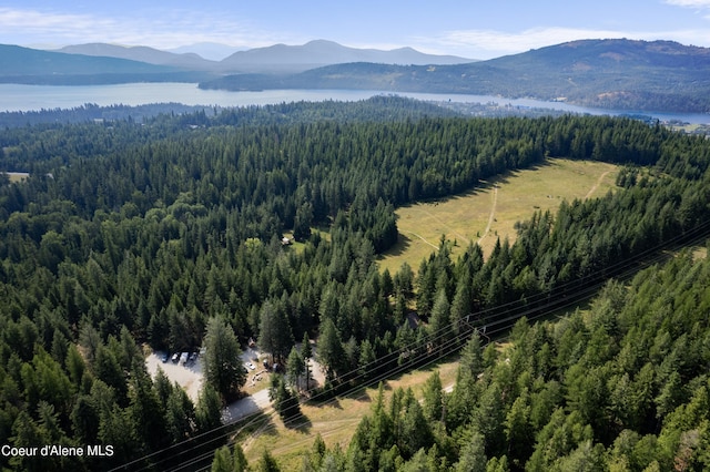 LOT2 W Pine St, Sandpoint, ID 83864 - photo 29