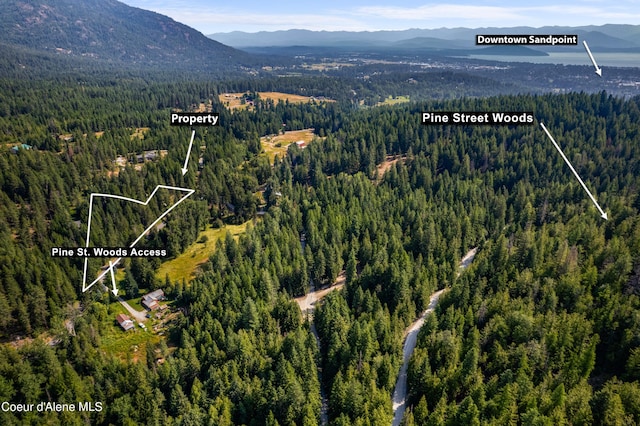 LOT2 W Pine St, Sandpoint, ID 83864 - photo 30