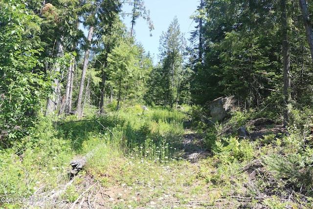 Listing photo 2 for 2110 Mushroom Kingdom Trl, Sandpoint ID 83864