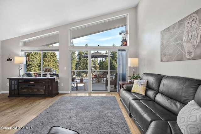 living room featuring light wood-type flooring and high vaulted ceiling