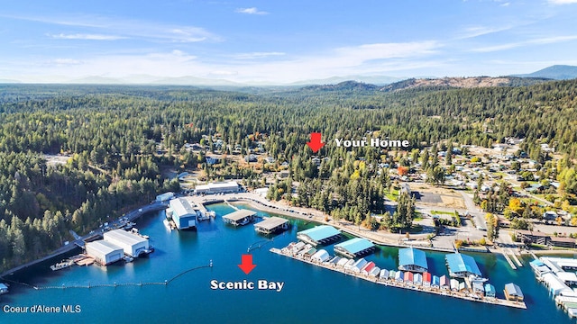 drone / aerial view featuring a water and mountain view