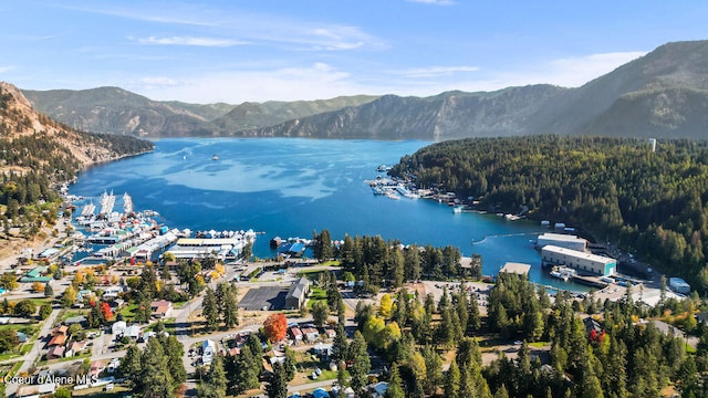 birds eye view of property with a water and mountain view