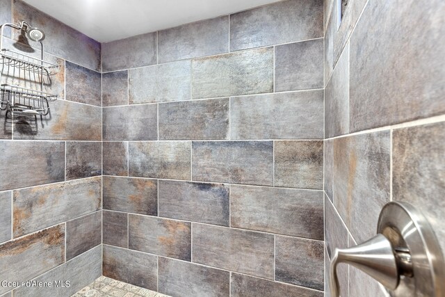 room details with tiled shower